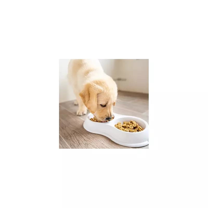 Add 2 Years to Your Dog's Life With Simple Diet Change, Says Expert