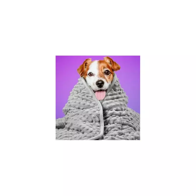 Amazon Slashes Price on Weighted Pet Blanket That Calms Anxious Dogs