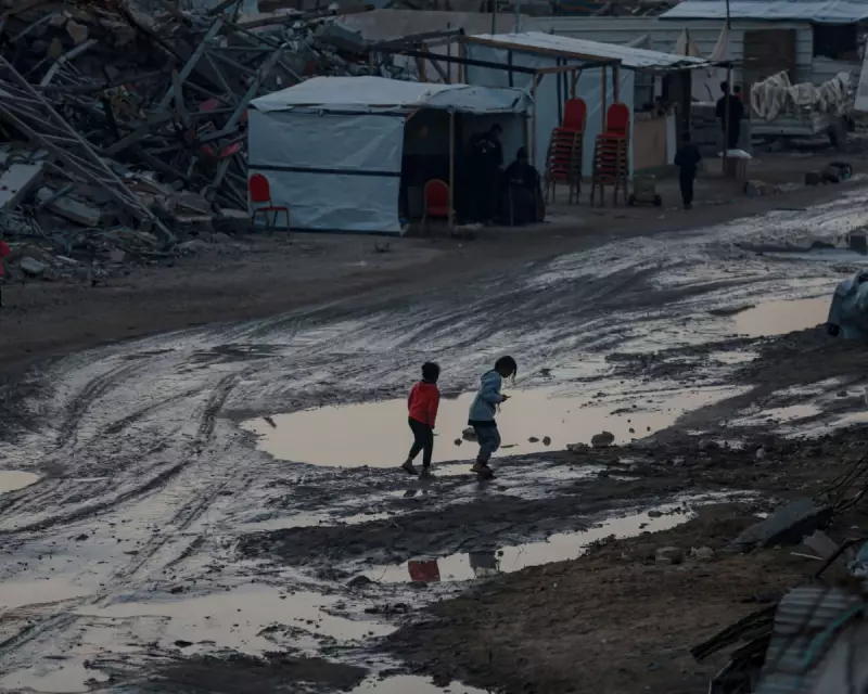 Amnesty: Gaza Genocide Continues Despite Ceasefire, 352 Killed