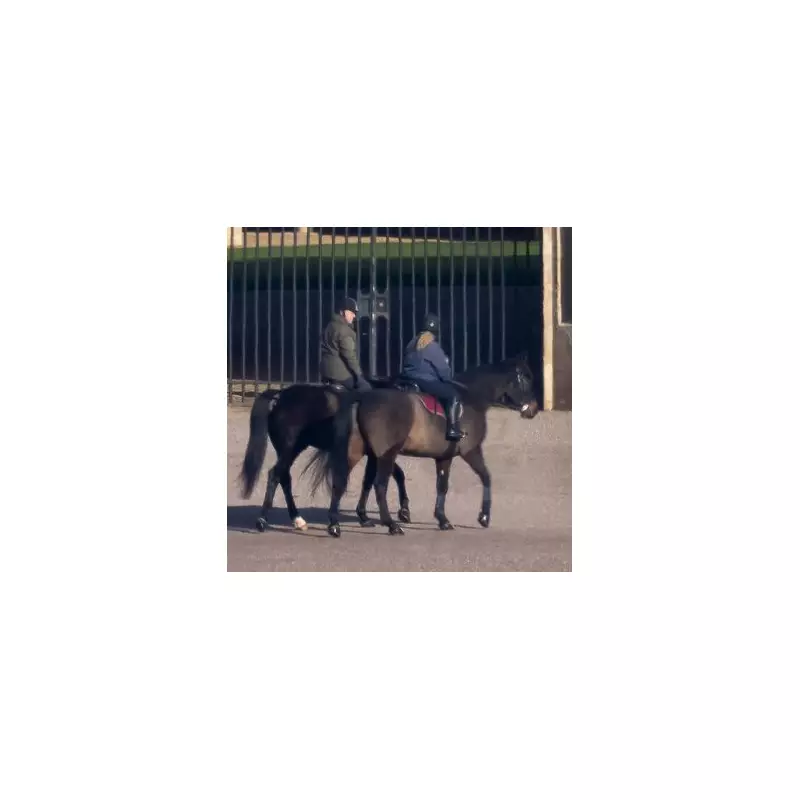 Andrew Mountbatten-Windsor Spotted After Royal Title Removal