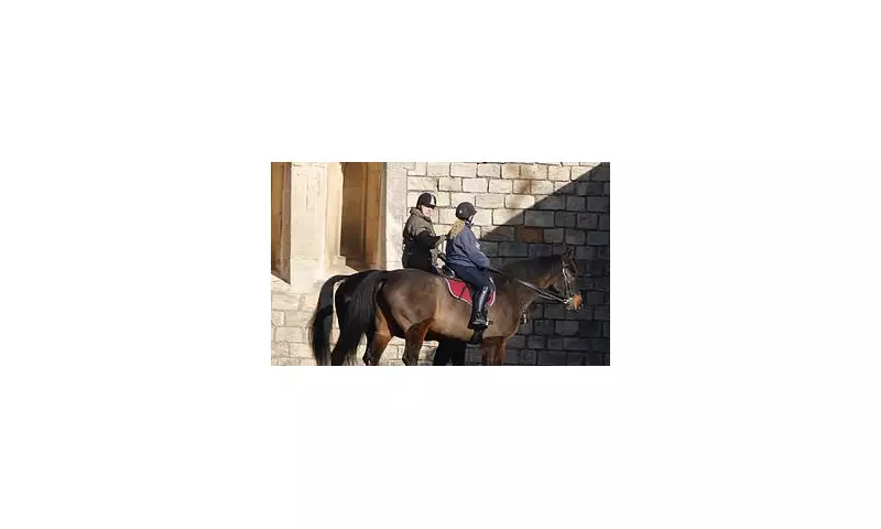 Andrew Spotted as Commoner After King Charles Strips Royal Titles