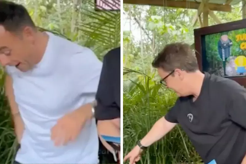Ant McPartlin Screams as Spider Halts I'm a Celeb Livestream