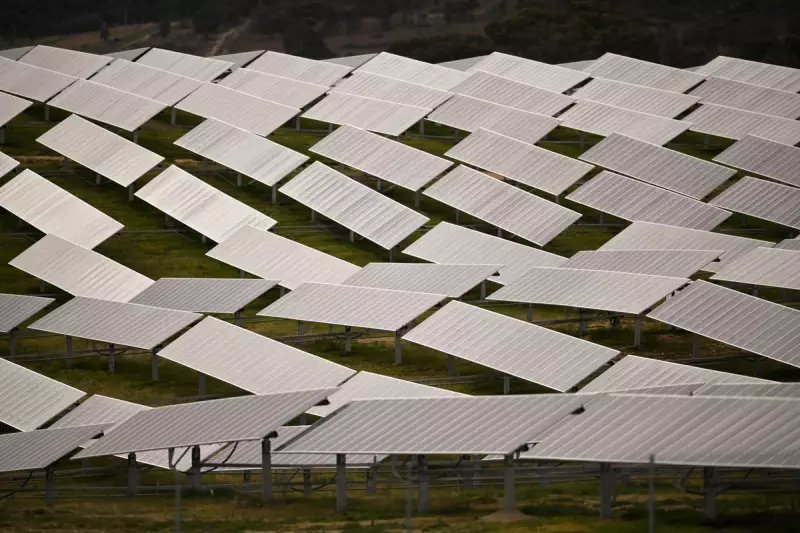 Australia's Solar Revolution: Households Earning Cash as Power Bills Turn Negative