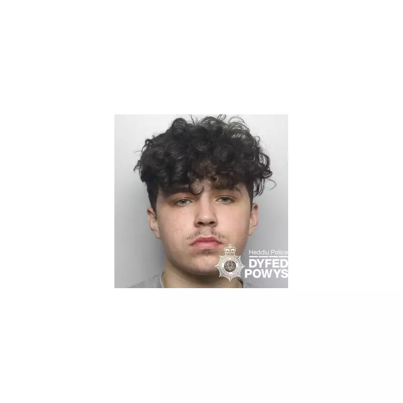 Axe-Wielding Teen's Home Invasion Terrorises Mother and Baby in Powys