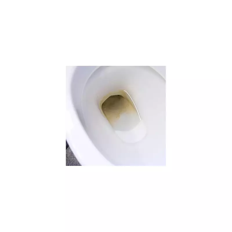 Banish Limescale Stains Forever: The 79p Kitchen Ingredient That Transforms Your Toilet