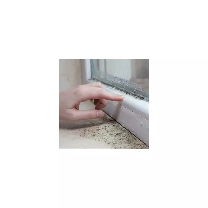 Beat Condensation for Good: 10 Expert Tips to Protect Your Home This Winter