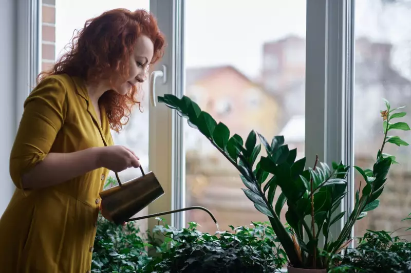 Beat Winter Blues Naturally: How Gardening Could Be Your Secret Weapon Against SAD