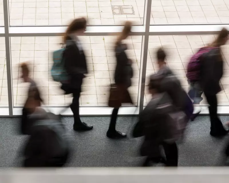 Beyond the Ballot Box: Why Our Schools Must Become Democracy's Training Ground