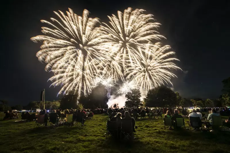 Beyond the Bang: The Hidden Trauma of Fireworks Night on Veterans, Children and Pets