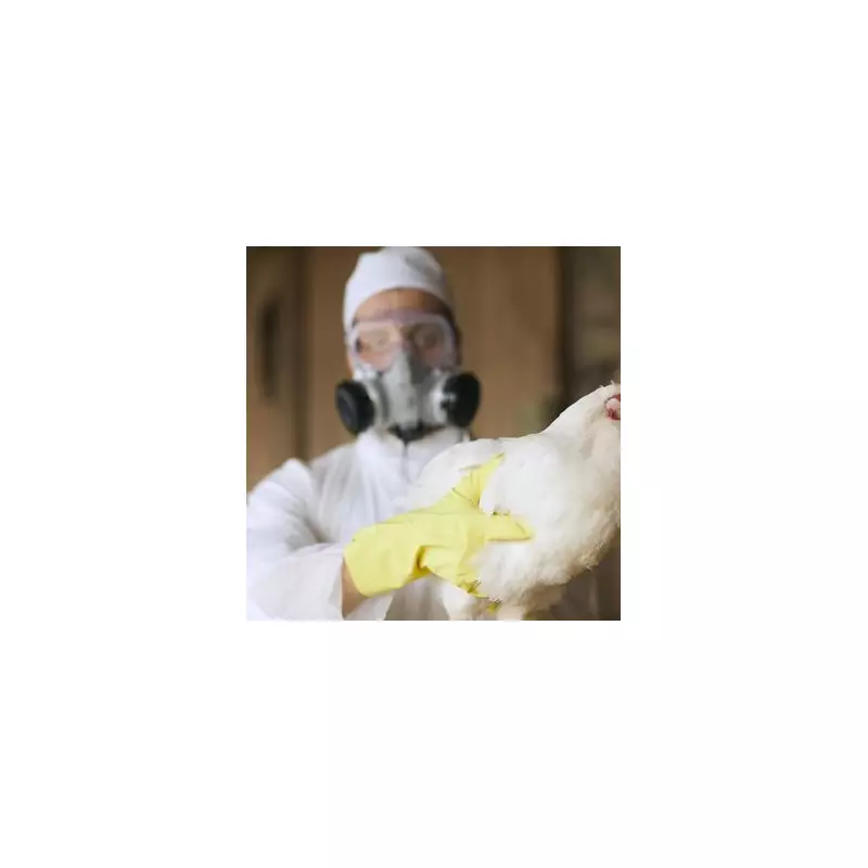 Bird Flu Outbreak in Worcestershire: H5N1 Confirmed in Midlands