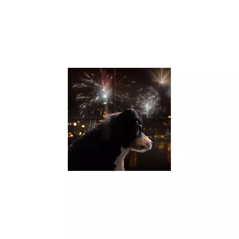 Bonfire Night Survival Guide: 10 Expert Tips to Keep Your Pets Calm Amid the Fireworks