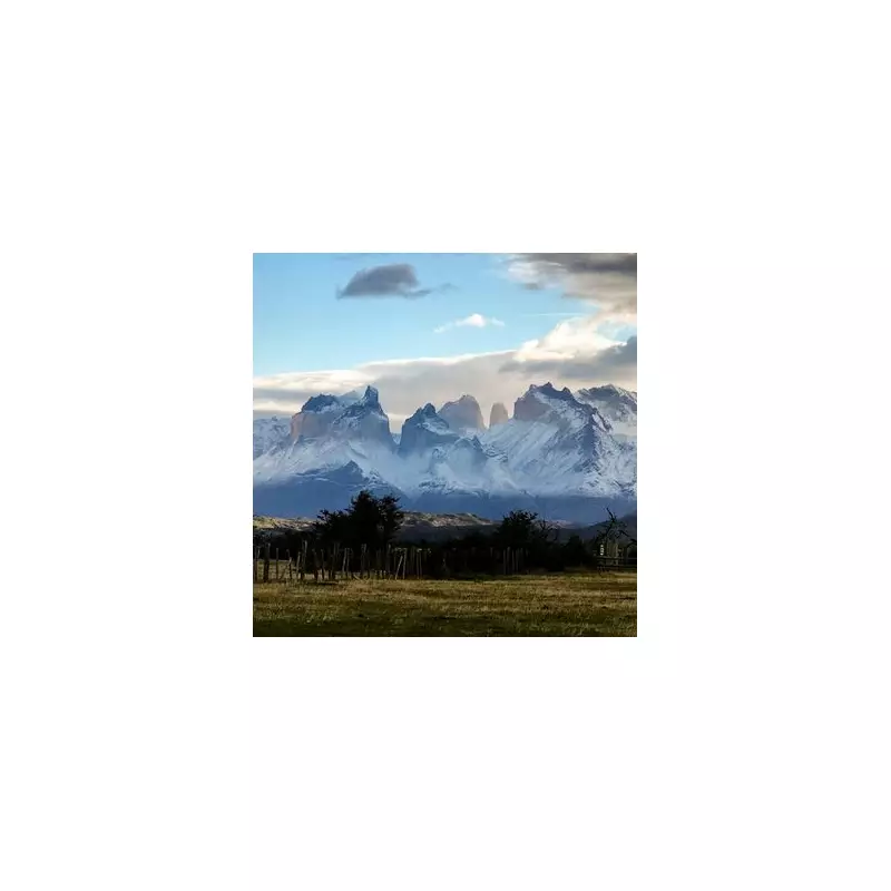 British Woman Among Five Tourists Found Dead in Chilean Patagonia