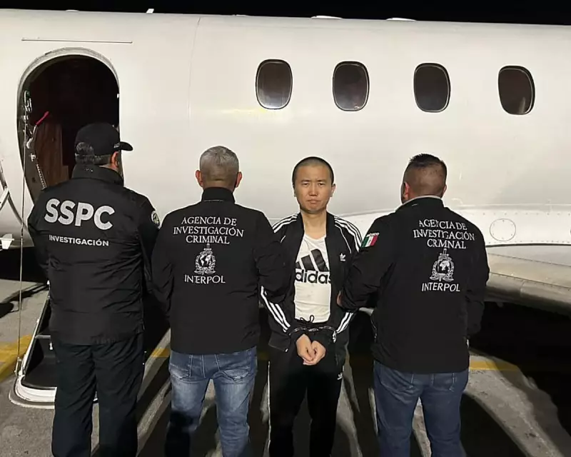 Brother Wang's Global Manhunt: Chinese-Mexican Drug Nexus Exposed