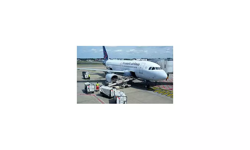 Cabin Crew Crisis: Three Flight Attendants Sacked After Refusing to Work on 'Bed Bug Infested' Plane