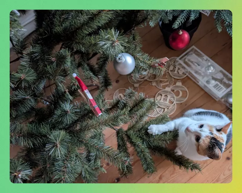 Cat vs Christmas Tree: Feline-Tested Artificial Trees Reveal Top Picks