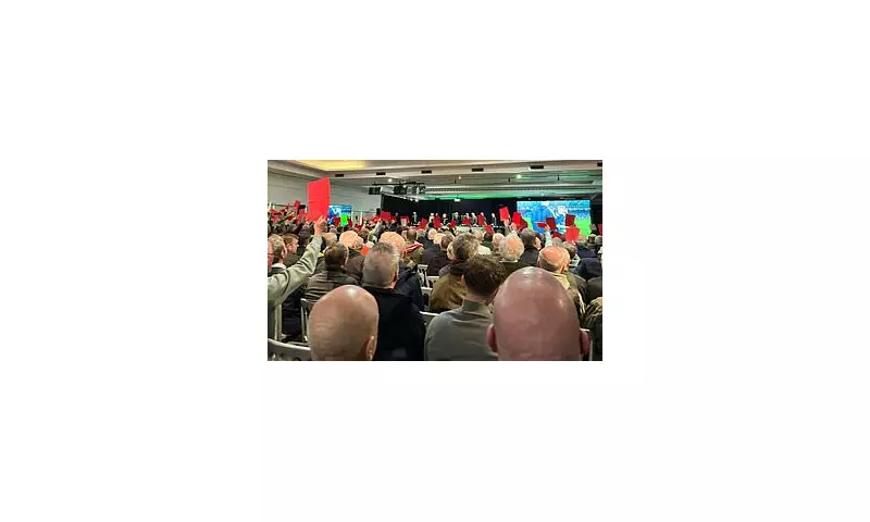 Celtic AGM Erupts: £77.3m Bank Balance Fuels Fan Fury and Boardroom Clash