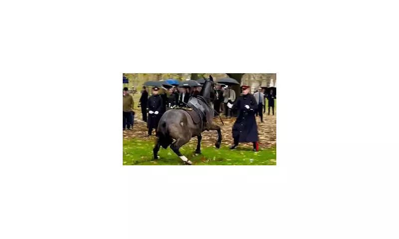 Chaos in Central London as Household Cavalry Horse Bolts Through Green Park