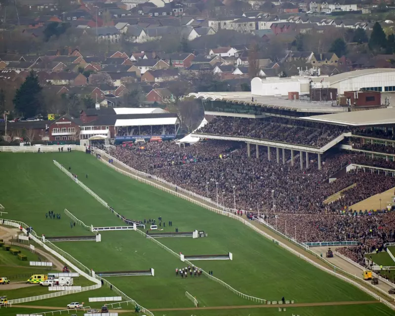 Cheltenham's November Meeting Kicks Off National Hunt Season With 400 Entries