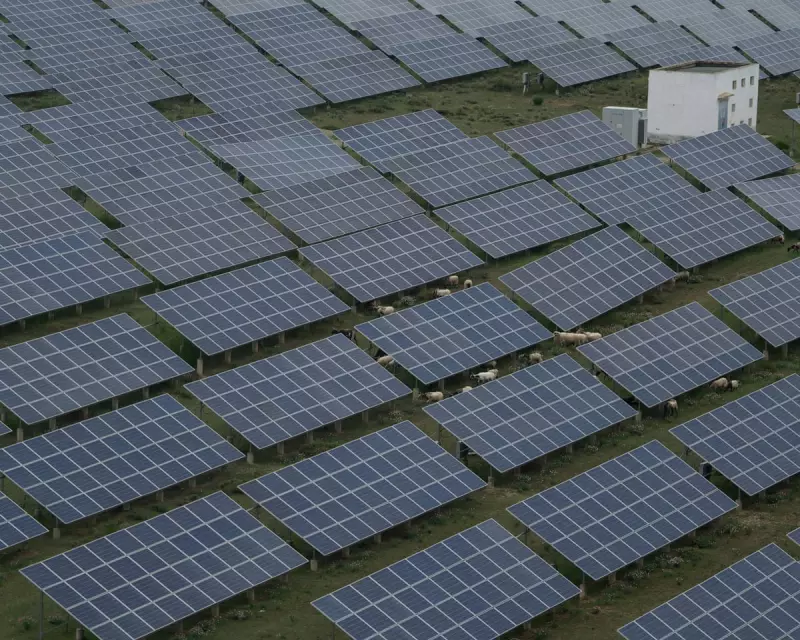 China Resists Sole Climate Leadership Role at COP30, Urges Global Cooperation