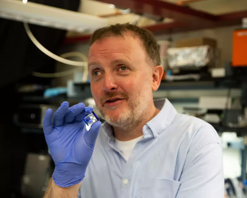 Chris McCausland's AI Vision Quest: A Mind-Blowing BBC Documentary