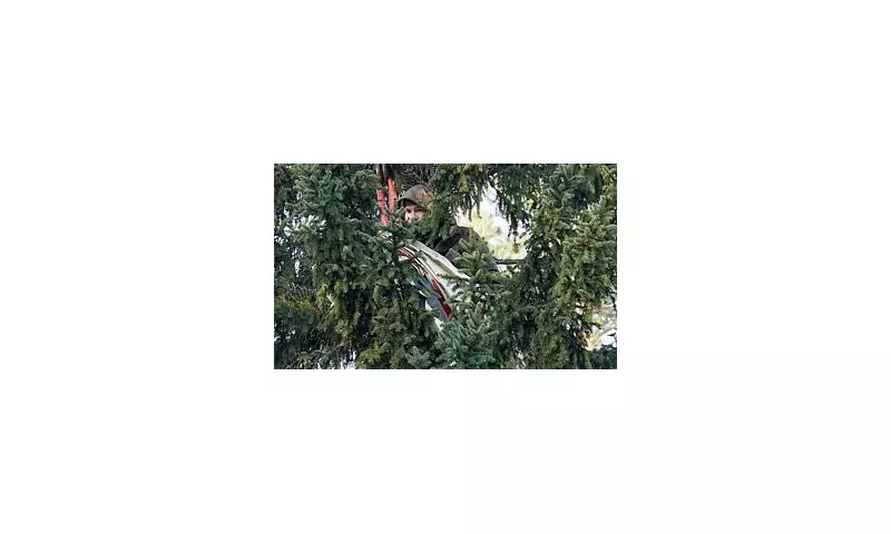 Climate Activist Halts Norway's Annual Christmas Tree Ceremony in Rosebank Protest