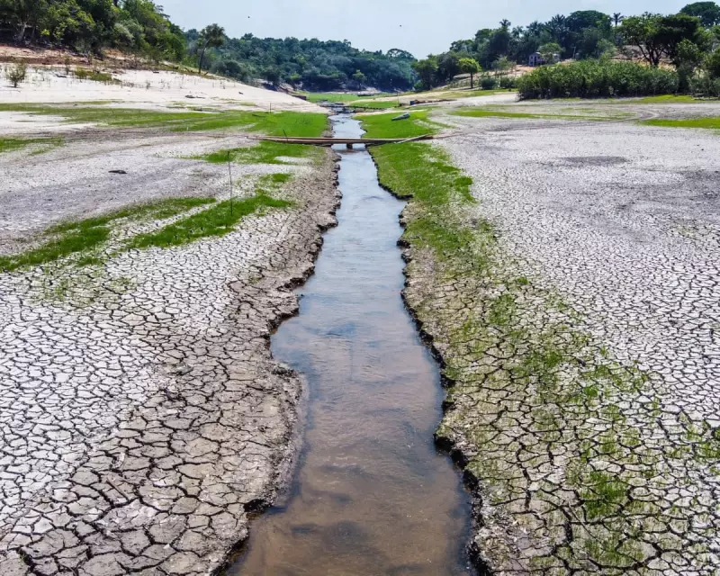 Climate Hope: Scientists Reveal We Can Still Avert Worst of Global Warming