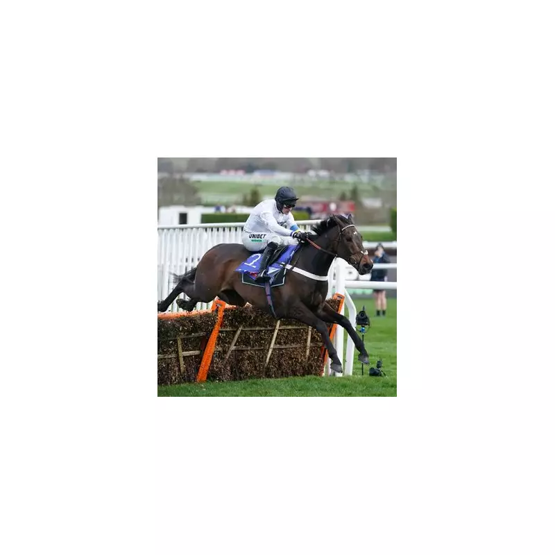 Constitution Hill Falls as Golden Ace Wins Dramatic Fighting Fifth Hurdle