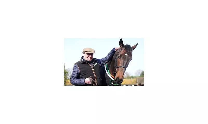 Constitution Hill's Stunning Newbury Gallop Sets Stage for The New Lion Clash