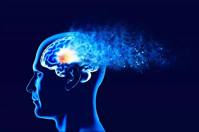 Dark Chocolate Could Boost Your Brain Power, Reveals New Study