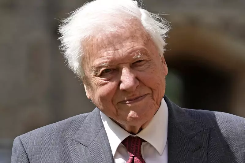David Attenborough Receives Royal Title in Historic Windsor Castle Ceremony