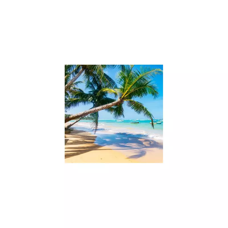 Dhigurah: The 250m-Wide Maldives Paradise with Whale Sharks