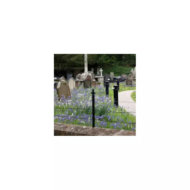 Discover Merthyr Mawr: Wales' Fairytale Village Perfect for Autumn