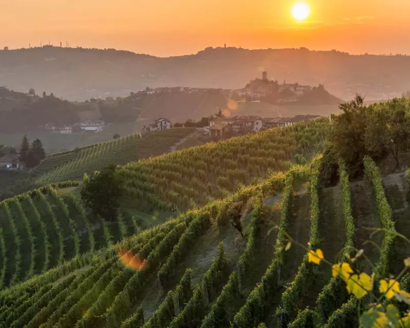 Discover Piedmont's Alluring Red Wines for Cosy Autumn Evenings