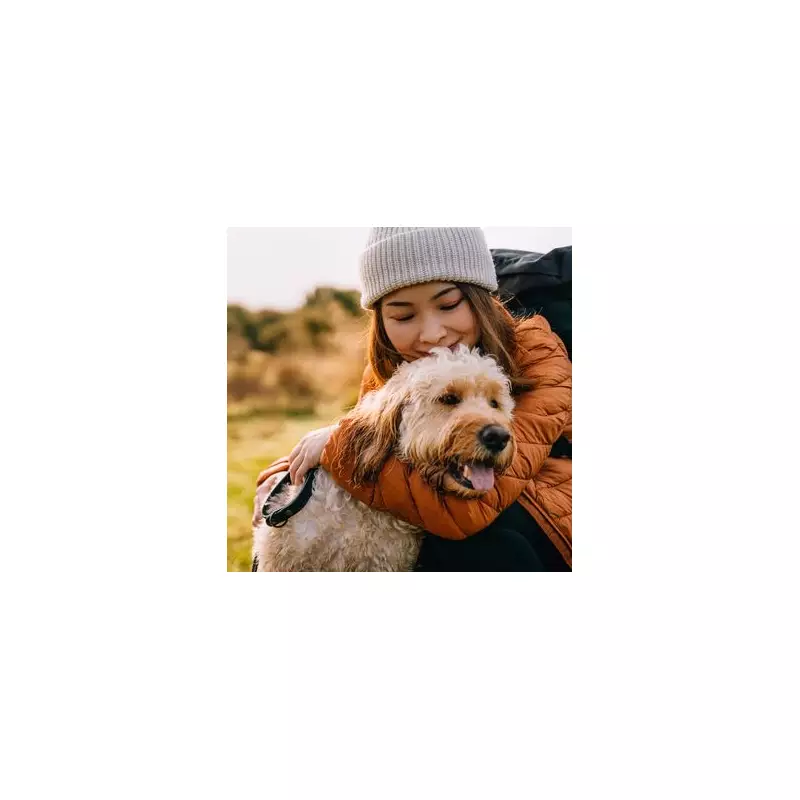 Dog Trainer Reveals 8 Signs Your Dog Hates Being Hugged