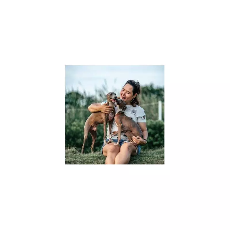 Dog's Strange Post-Walk Behaviour Has Sweet Meaning, Vet Reveals