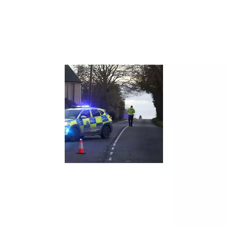 Dundalk Crash: Sixth Car Occupant Released as Five Young Adults Mourned