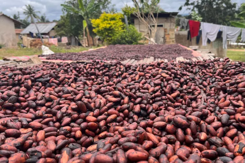 Earth's New Mystery: Scientists Discover Unexplained Mass Deep Beneath Planet's Surface