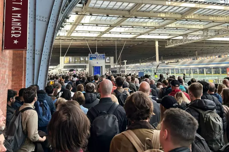 Easter Travel Chaos: St Pancras Station Descends into 'Saigon' Scenes