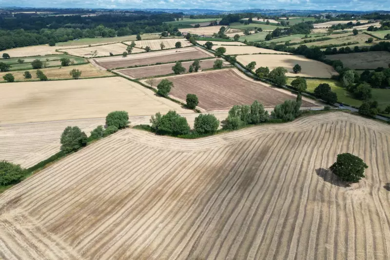 England Faces Widespread Drought in 2026, Agency Warns