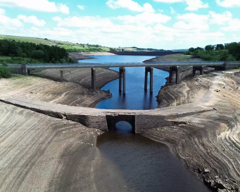 England's Water Crisis: Emergency Drought Plans for 2024 Revealed