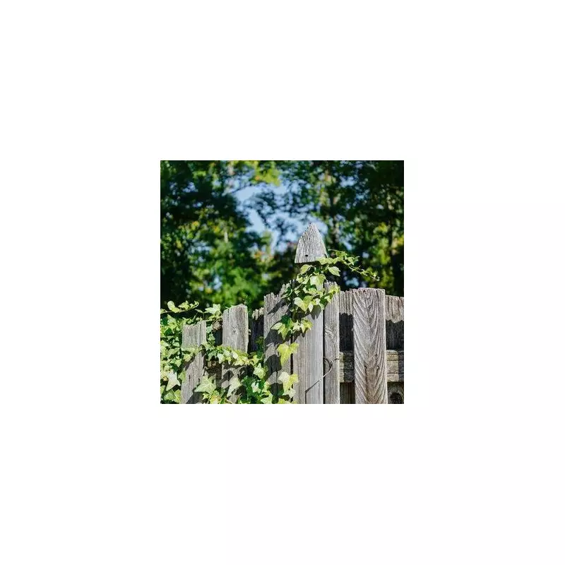 English Ivy Crisis: The Silent Killer Strikes UK Gardens - Expert Reveals What You MUST Do Now