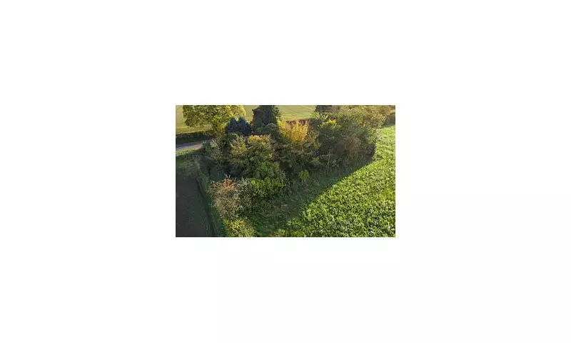 Estate Agents Left Red-Faced After Listing £110K Bungalow With Hilarious Blunder - Can YOU Spot It?