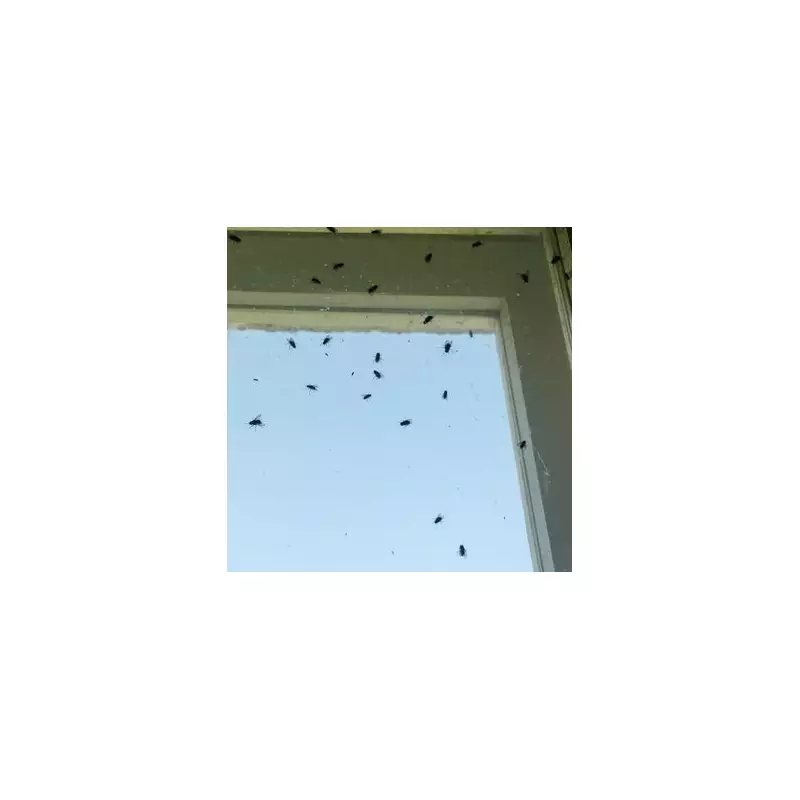 Exeter resident's window note begs public to stop police welfare calls