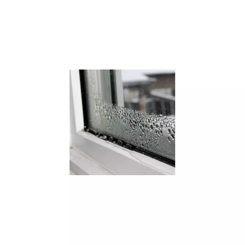 Expert's Free Trick Stops Condensation and Mould in Your Home