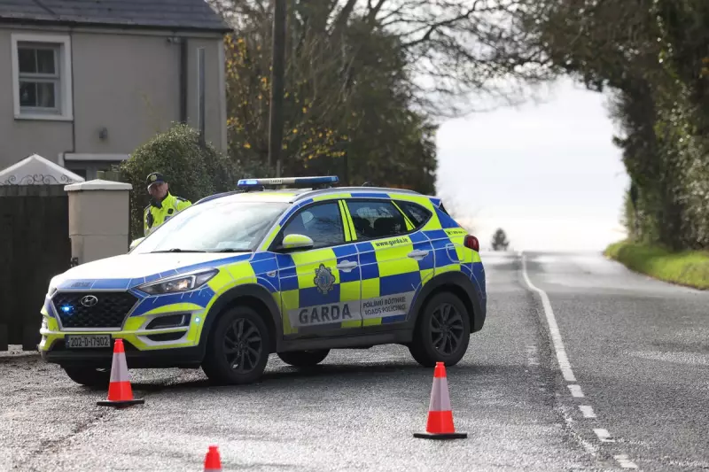 Five Young Adults Named in Devastating Co Louth Crash Tragedy