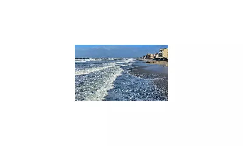 Four Dead After Panga Boat Capsizes Off San Diego Coast