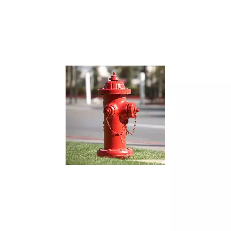 Freak Accident Claims Life: Man Killed by Flying Fire Hydrant in US Tragedy