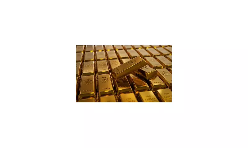 French Man's £616k Garden Gold Find Yields No Reward