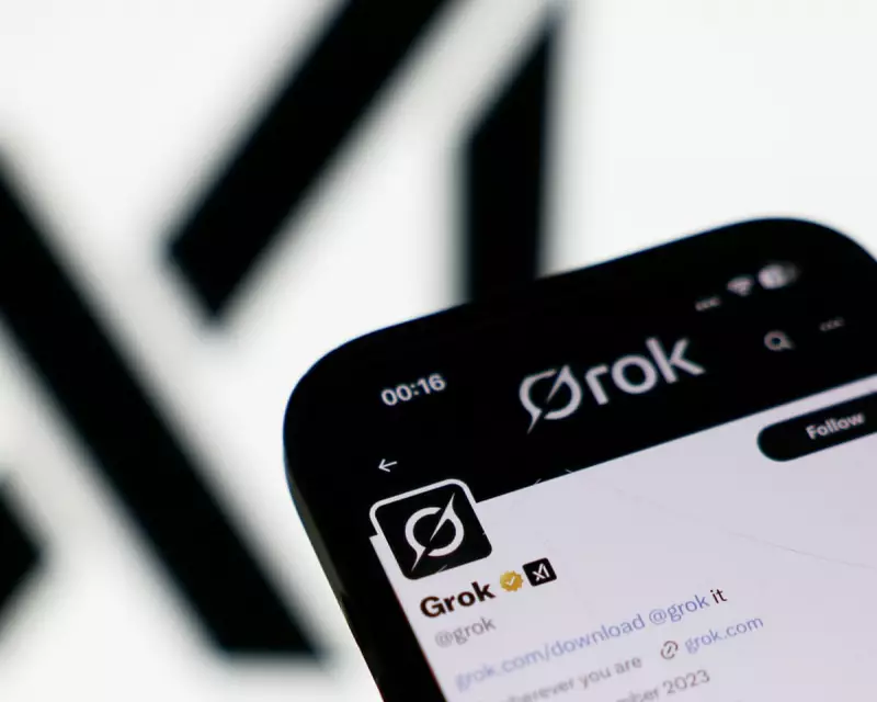 French Probe Elon Musk's Grok AI for Holocaust Denial Posts