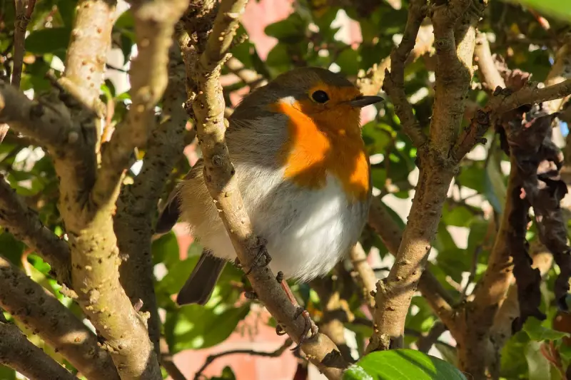 Frieda Hughes on Creative Process Between Poetry and Painting